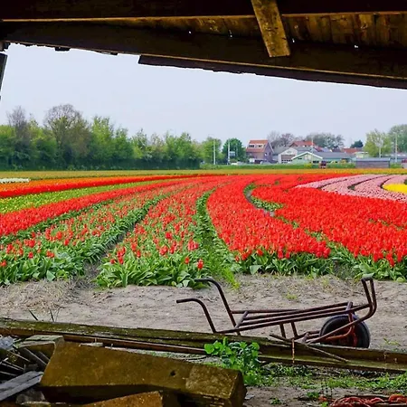 펜션 Tulp & Zee, Aan Zee