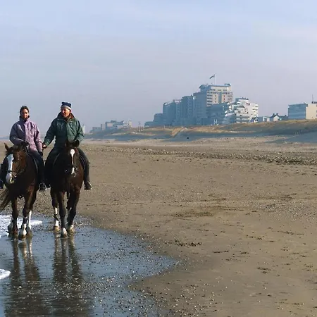 Tulp & Zee, Aan Zee * Noordwijk