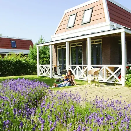 Tulp & Zee, Aan Zee 펜션 노르트베이크